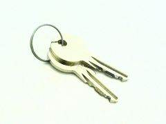 Keys (Pair) - Vestfrost - Fridge - FKG371 Special order item - non returnable