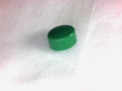 OBSOLETE On/ off switch - Newscan NS1506 dishwasher Oval Green Button