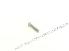 Hinge Screw Piron P904RXS00004 Oven Special Order Item Non Returnable