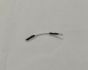 Ignitor Cable - Parry Gas Griddle PGF800 820mm x 810mm x 235mm