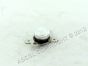 SUPERSEDED 80°C Thermostat - ClassEq H857 Dishwasher #One of two thermostats on side of rinse tank