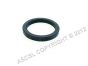 Filter Holder Gasket- Iberital Coffee Machine