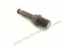 Pin / Turning screw shaft - OMAS TS12E Meat Mincer Axis 11mm Dia x 16mmx18mm Thread x 21mm Dia Flange