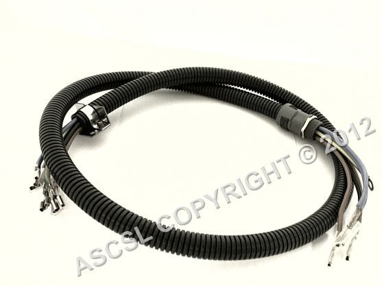 Element Lead 3ph Valentine Cantine1BS Fryer